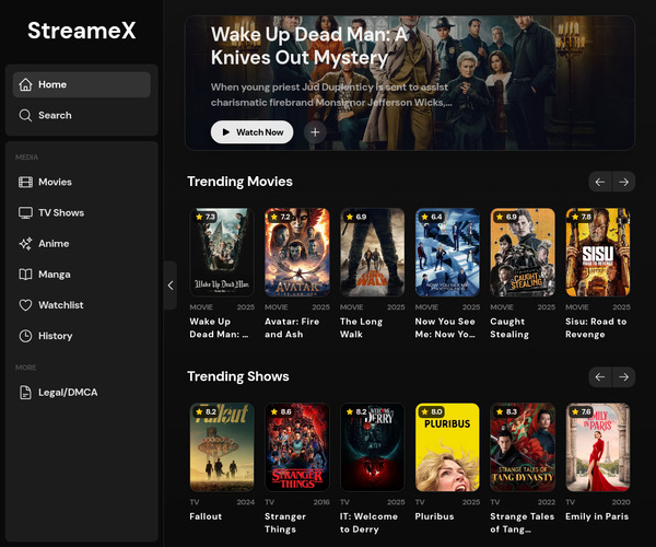 Screenshot of StreameX