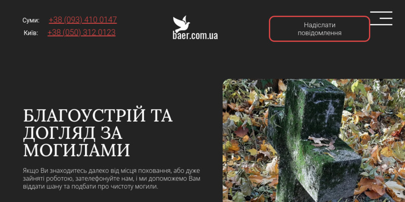 Скріншот сайту
