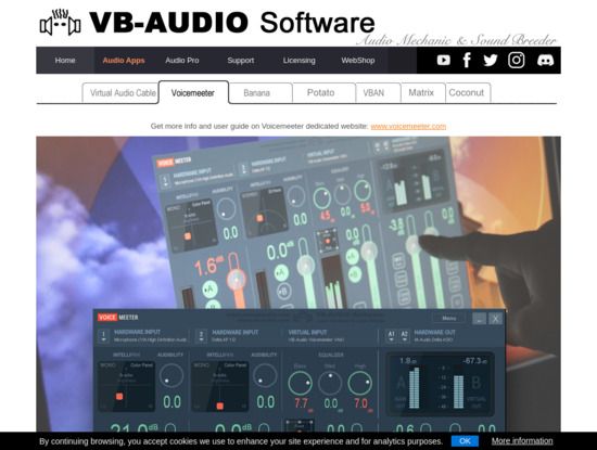 Screenshot of vb-audio.com