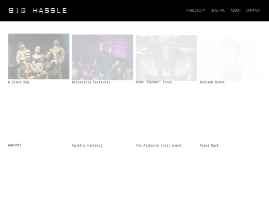 Screenshot of www.bighassle.com