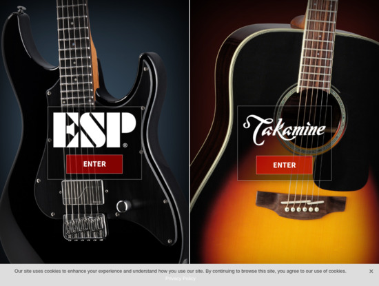 Screenshot of www.espguitars.com