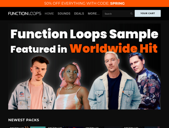 Screenshot of www.functionloops.com
